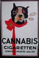 CANNABIS